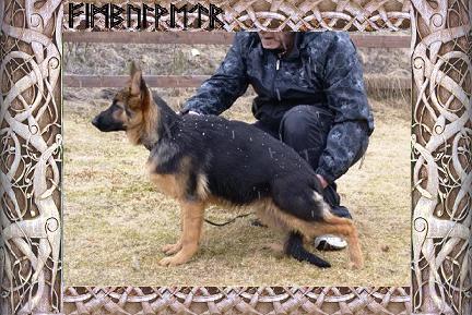 DrageBidda.jpg